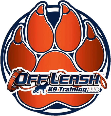 Unleash the Potential: Managing Your High Energy Dog with Off Leash K9 Training!