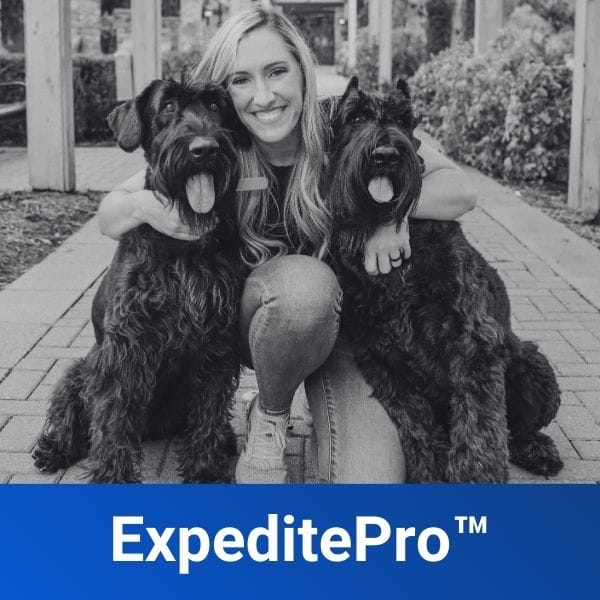 Dog Obedience Olk9 Off Leash Training Olk9 Training Outlet