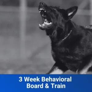 3 Week Behavioral Board & Train