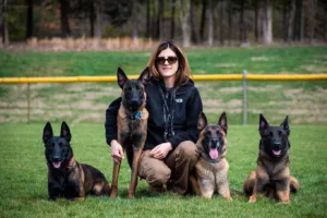 When should you start crate training a puppy with a trainer
